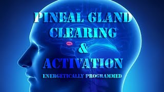 Pineal & Spiritual Gland Clearing & Activation (Energetically Programmed)