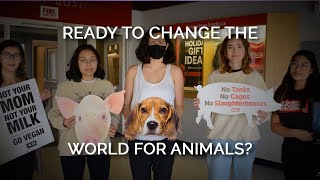 Ready to Change the World for Animals? Take the First Steps Today!