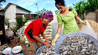 I Bought Cheap Fish From A Rural Village To Make Cambodian Prahok