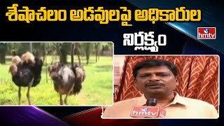 శేషాచలం అడవుల పై అధికారుల నిర్లక్ష్యం | Negligence Of The Authorities On  Seshachalam Forests | hmtv