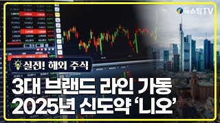 [실전! 해외주식] 3대 브랜드 라인 가동, 2025년 신도약 '니오'