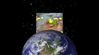 CapyBara edit #1