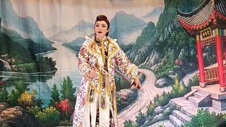 114.01.03-士林~春美歌劇團 高金花偷狀元印 下集（片段7：瀟湘夜雨）