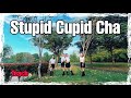 Stupid Cupid Cha💕 Line Dance  (Teach)