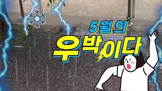 갑자기 내린 우박!