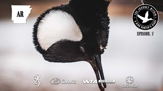 Arkansas Mixed Bag: Speck, Hooded Merganser, Lesser Scaup | The Journey Within - Waterfowl Slam