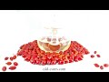 drying rosehips in a dehydrator for the preparation of teas or rosehip powder