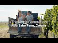 #ThinkingInGenerations: Atila Sabo Farm, Croatia