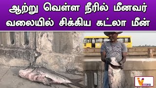 ஆற்று வெள்ள நீரில் மீனவர் வலையில் சிக்கிய கட்லா மீன்..!! | Puducherry