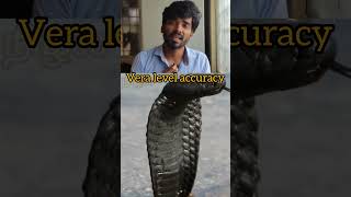 இந்த பாம்ப பாத்த 😳பத்து அடி தள்ளி போய்ருங்க |#shorts |nilal