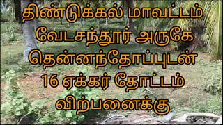 திண்டுக்கல் மாவட்டம் வேடசந்தூர் அருகே 16 ஏக்கர் தோப்பு விற்பனைக்கு