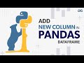 How to Add New Column in Pandas Dataframe? | GeeksforGeeks