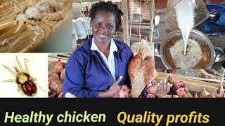 How to eliminate Fleas, lice and mites organically in poultry farming to boost egg production