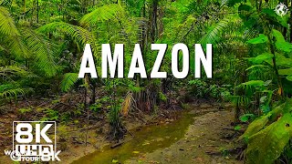 Amazon 8K - The Lungs of the Earth and a Land of Wonders