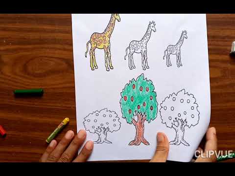 Maths Sr Kg Worksheet Youtube