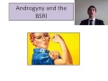 Gender Androgyny and the BSRI