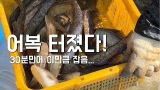 어복 터졌다! 민물고기 통발낚시 구경하기(메기,쏘가리)