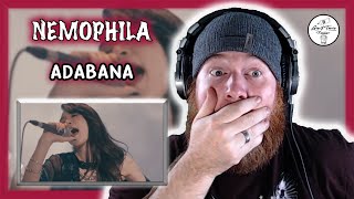 Nemophila 🇯🇵 - Adabana | AMERICAN REACTION!