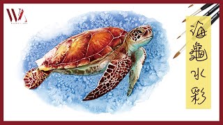 Watercolor Sea Turtle Painting Tutorial- Windy Shih