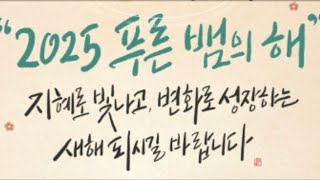 2025.1.1 수요일  금용사 금맥 산반중투 서반중투 백록 태극선 화형소심 복륜화 8품종 준비했습니다