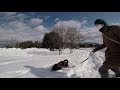 愛犬とメタセコイヤ並木で雪遊びしてきました