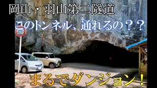 【ココ通れるの？】岡山にある凄いトンネル！羽山第二隧道【なんと素掘り】