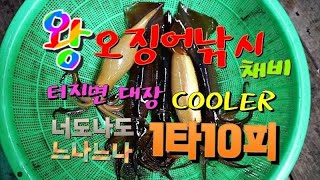 [쌍디채널] 왕오징어채비 10단 오징어스틱 추천 전동릴 \u0026 주낚 Cuttlefish/Squid fishing preparation