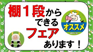 90cm幅のミニフェアのご紹介【#出版社#羊土社】