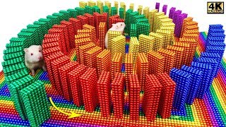 Funny Pet. Build Domino Maze For Hamster From Magnetic Balls ( Satisfying ) | Magnet Satisfying