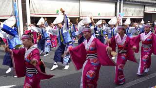 よんでん（よさこい2018・8月11日菜園場）