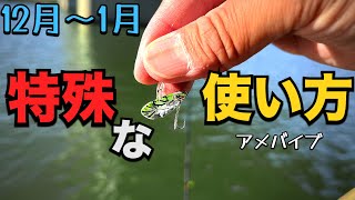 冬のアメバイブ！◯◯しないが正解でした【バス釣り】