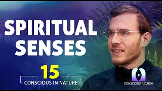 Conscious in Nature EP15: The human heart uses the mind to perceive reality and responds accordingly