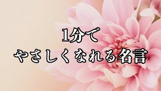 心に響く癒しの名言集 #名言 #愛情 #心に響く言葉