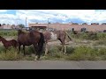 arizona we toured a navajo indian reservation town kayenta