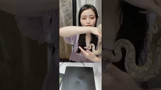 ស្រីស្អាត បង្ហាញសត្វពស់ Beautiful Girl Show Snake