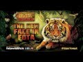 FOTA WILDLIFE PARK | TIGER FOREST