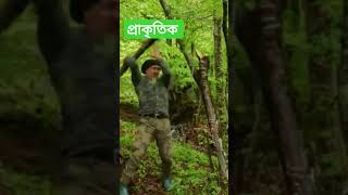 প্রাকৃতিক অরজিনাল