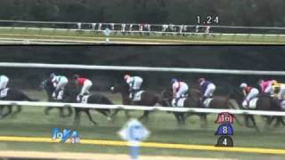 2011/1/30 1回東京2日 4R サラ系3歳未勝利　ヴァーゲンザイル