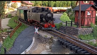 Sächsische Schmalspurbahn 5 - LGB / Gartenbahn / Spur G