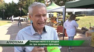 Агротема - ВИДЕО: Пчеларството е в упадък по три основни причини, автор: Камелия Карадочева