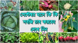 সেপ্টেম্বর মাসে সবজি চাষ | কোন মাসে কি সবজি চাষ করবেন? | শীতকালীন সবজি চাষ