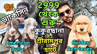 Biggest Pet Market in West Bengal । Serampore Dog Market । Low Price Puppy Sell in Kolkata