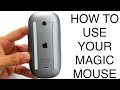 How To Use Your Magic Mouse! (Complete Beginners Guide)
