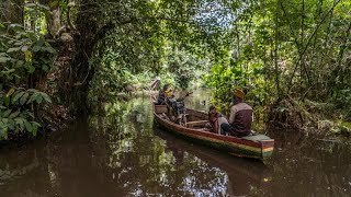 Bénin : la forêt marécageuse de Hlanzoun menacée de disparition