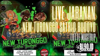 LIVE HARI INI NEW TURONGGO SATRIO BUDOYO - LOTTE MASTRIP SURABAYA