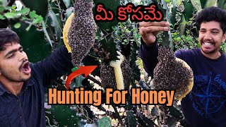 Honey hunting మీ కోసమే#Honeyhunting#honey#bee#youtubevideos#entertainment #hills#trending#video