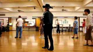 Walk Softly ( Line Dance ) Original  Walkthrough.wmv