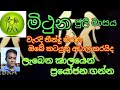 මිථුන ලග්නය ජුලි මාසය mithuna july palapala gemini horoscope july