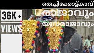 Thrissur pooram 2019 thechikottukaav ramachandran ഏകഛത്രാധിപതി തെച്ചിക്കോട്ടുകാവ് രാമചന്ദ്രൻ #2k19