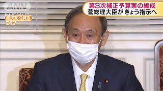 第3次補正予算案の編成　菅総理大臣がきょう指示(2020年11月10日)